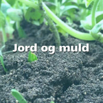 Jord & muld