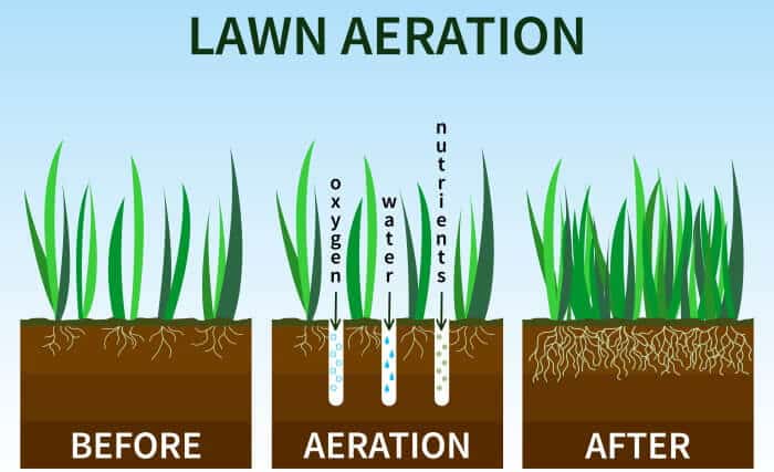 core aerator til græsplæne